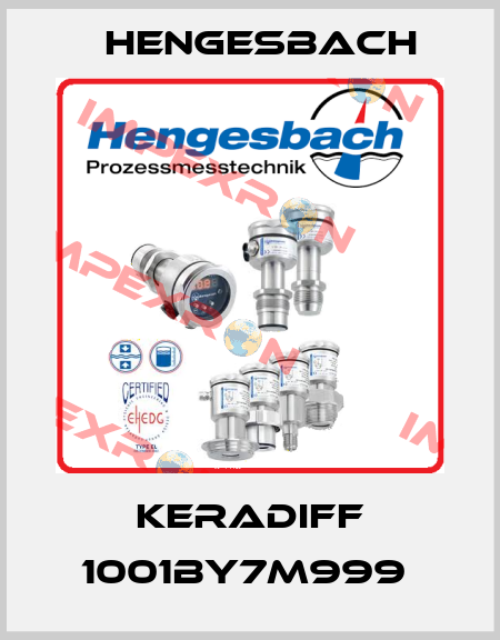 KERADIFF 1001BY7M999  Hengesbach