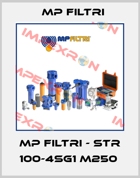MP Filtri - STR 100-4SG1 M250  MP Filtri