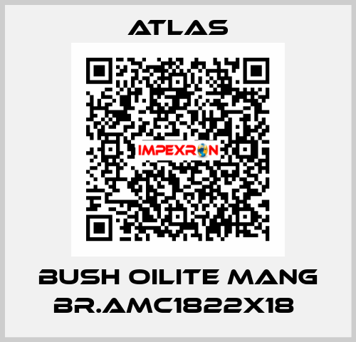 BUSH OILITE MANG BR.AMC1822X18  Atlas