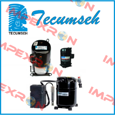 CAE 2417 Z  Tecumseh