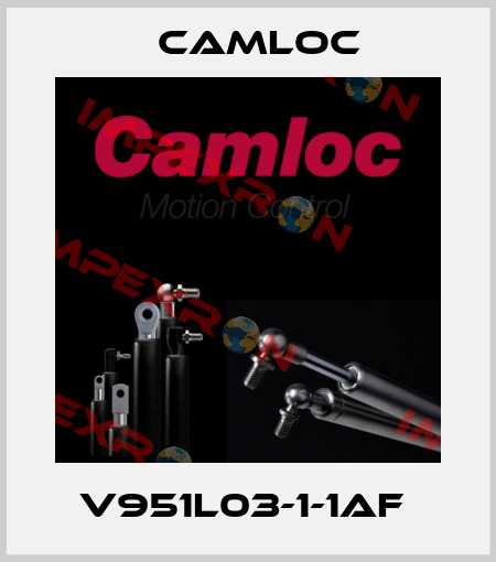 V951L03-1-1AF  Camloc