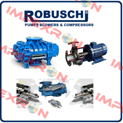 10390. Robuschi
