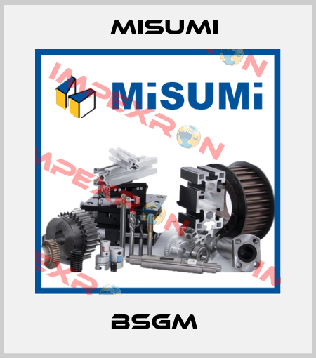 BSGM  Misumi