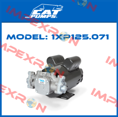 1XP125.071 Cat Pumps