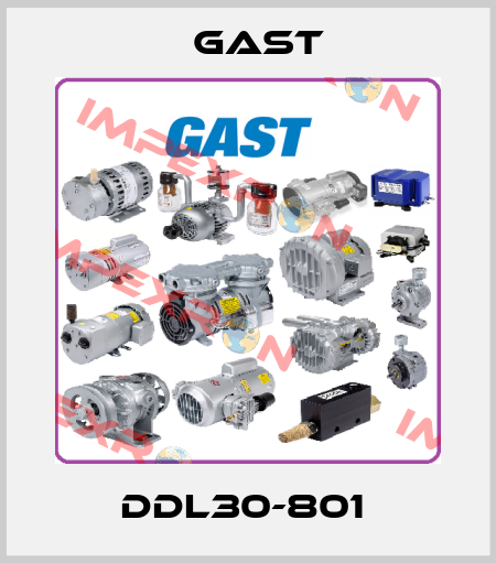 DDL30-801  Gast