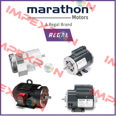 DM1 160 L2 Marathon (Regal)