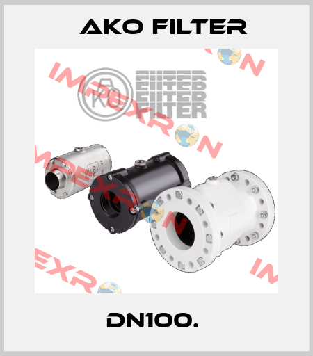 DN100.  Ako Filter