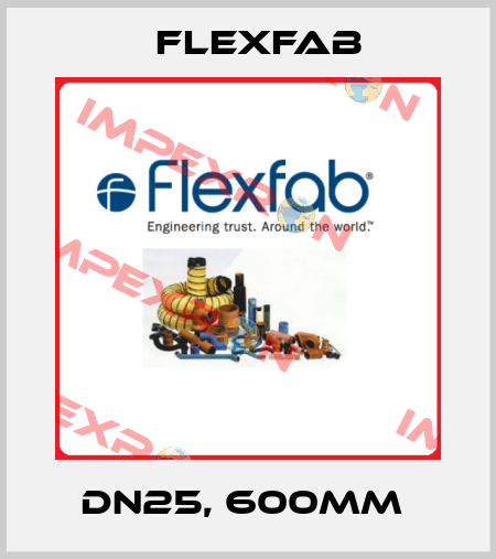 DN25, 600MM  Flexfab