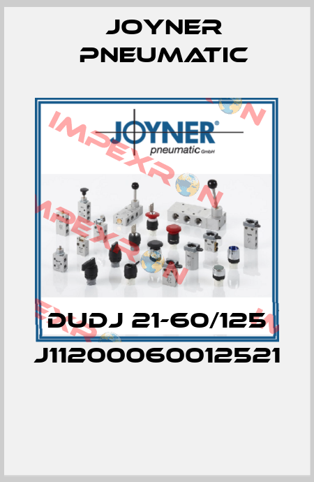 DUDJ 21-60/125 J11200060012521  Joyner Pneumatic