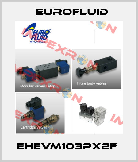EHEVM103PX2F  Eurofluid