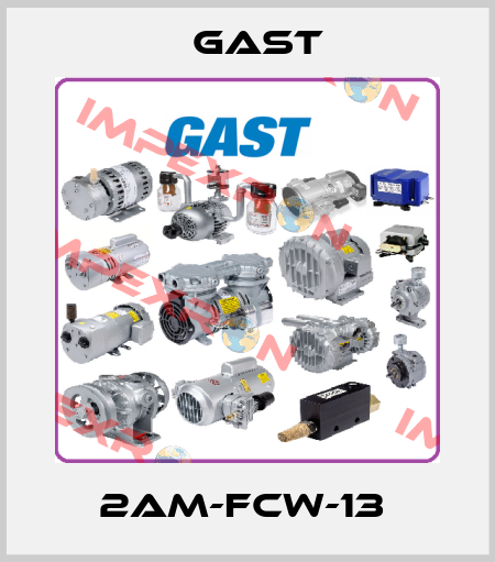 2AM-FCW-13  Gast