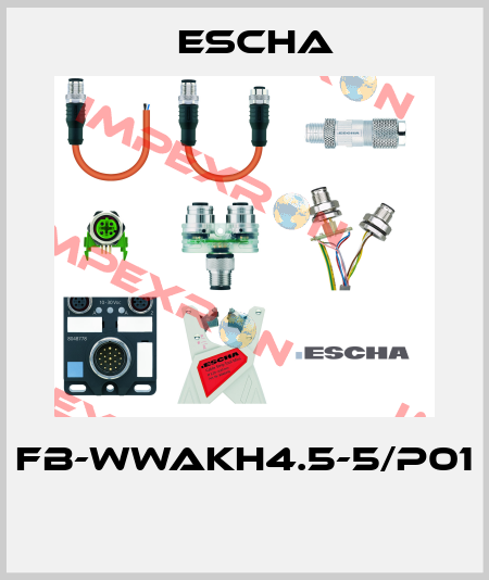 FB-WWAKH4.5-5/P01  Escha