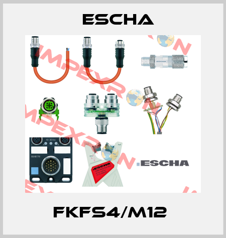FKFS4/M12  Escha