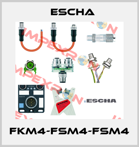 FKM4-FSM4-FSM4 Escha
