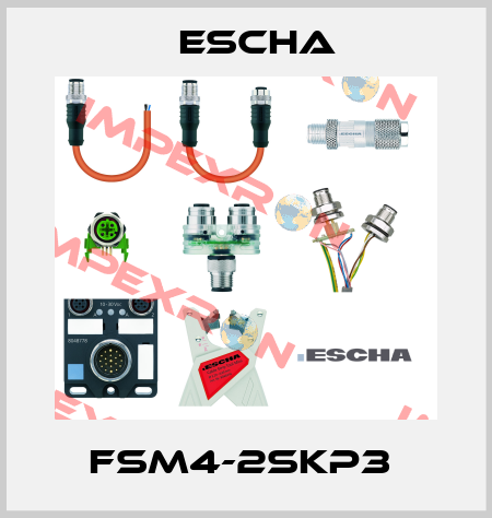 FSM4-2SKP3  Escha