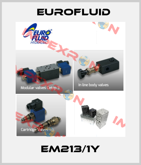 EM213/1Y Eurofluid