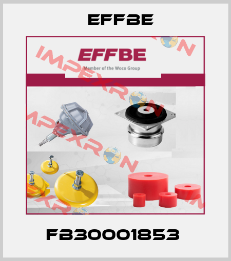 FB30001853  Effbe