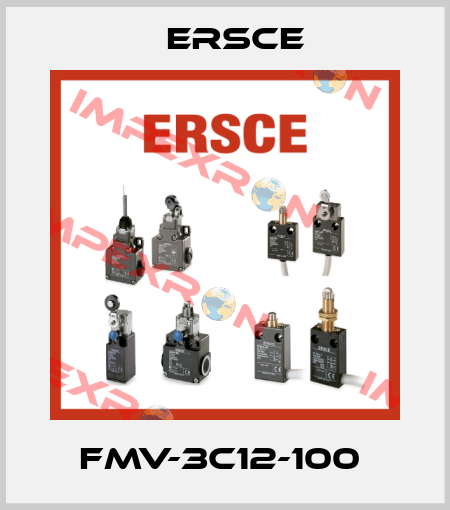 FMV-3C12-100  Ersce