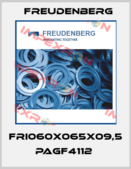 FRI060X065X09,5 PAGF4112  Freudenberg