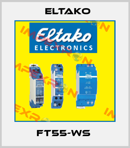 FT55-WS  Eltako
