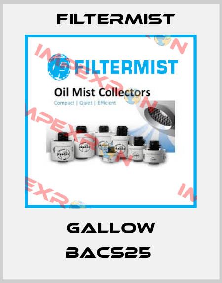 GALLOW BACS25  Filtermist