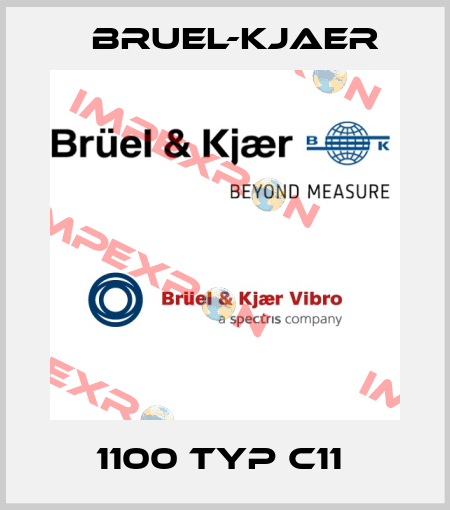 1100 Typ C11  Bruel-Kjaer