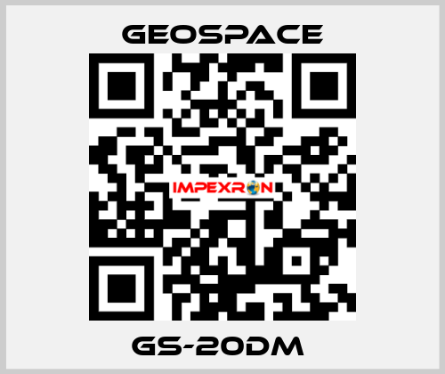 GS-20DM  GeoSpace