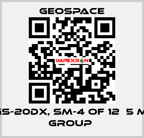 GS-20DX, SM-4 OF 12Х5 M, GROUP  GeoSpace