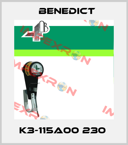 K3-115A00 230  Benedict