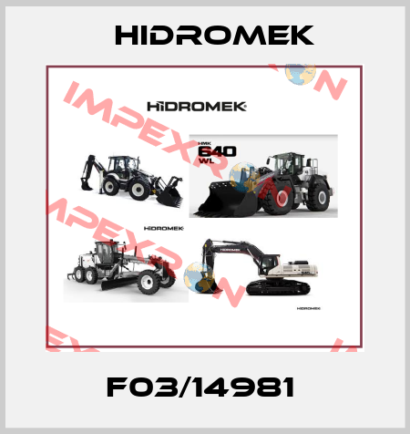 F03/14981  Hidromek
