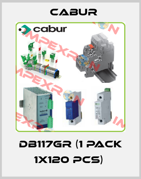 DB117GR (1 pack 1x120 pcs)  Cabur