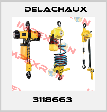 3118663  Delachaux