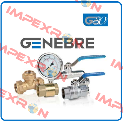 2954 09 (pack x10) Genebre