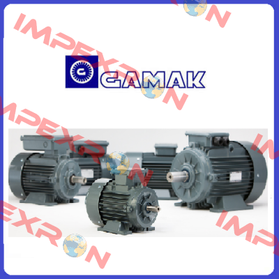 PN AGM2E 100 L 4b (60 HZ B35)  Gamak