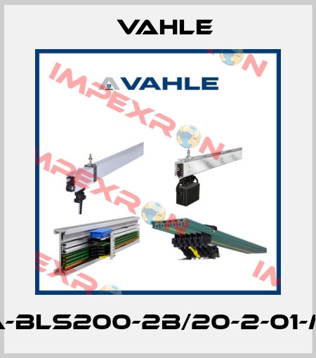 SA-BLS200-2B/20-2-01-MS Vahle
