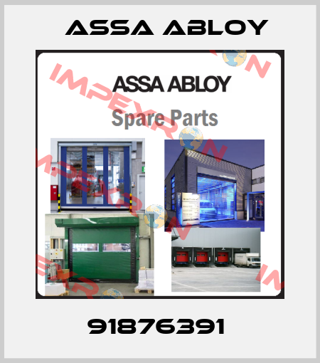 91876391  Assa Abloy
