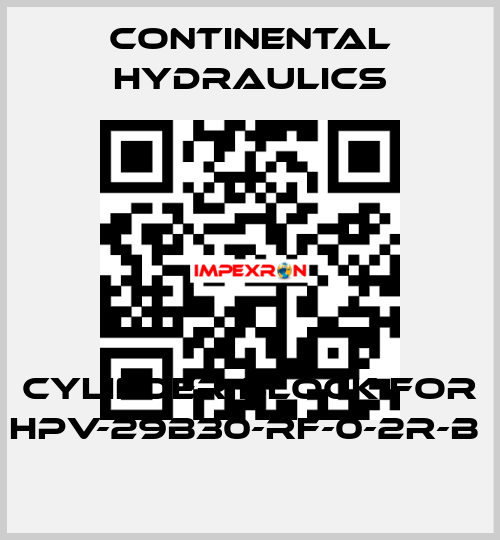 cylinder block for HPV-29B30-RF-0-2R-B  Continental Hydraulics