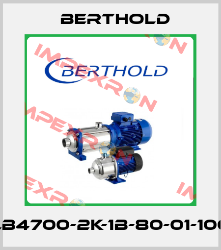 LB4700-2K-1B-80-01-100 Berthold