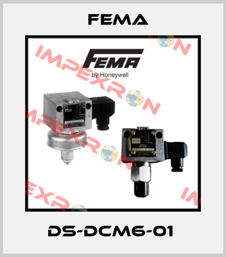 DS-DCM6-01  FEMA