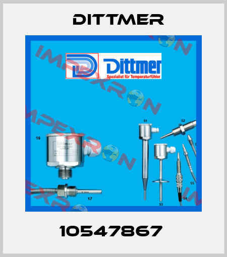 10547867  Dittmer