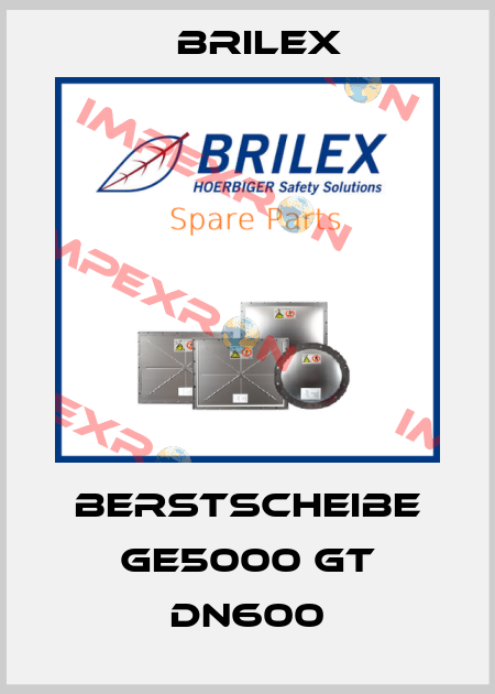 Berstscheibe GE5000 GT DN600 Brilex