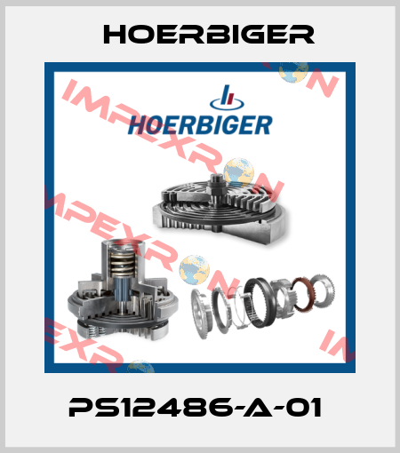 PS12486-A-01  Hoerbiger