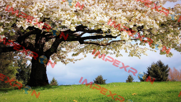 deneme1 De-Test DENEME