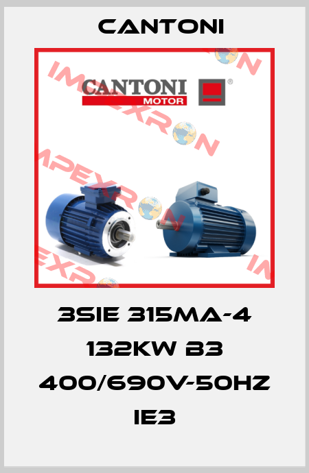3SIE 315MA-4 132kW B3 400/690V-50Hz IE3 Cantoni