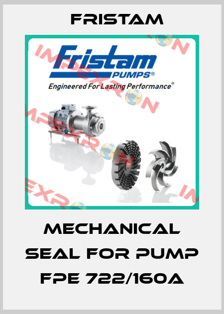 mechanical seal for pump  FPE 722/160A Fristam