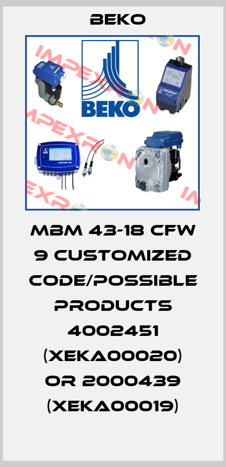 MBM 43-18 CFW 9 customized code/possible products 4002451 (XEKA00020) or 2000439 (XEKA00019) Beko