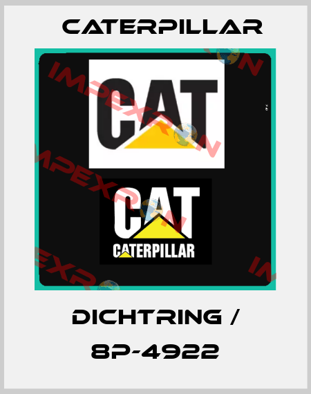 DICHTRING / 8P-4922 Caterpillar