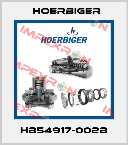 HB54917-002B Hoerbiger