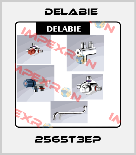 2565T3EP Delabie