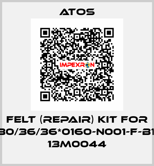 Felt (repair) kit for CK-9-80/36/36*0160-N001-F-B1X1-32 13M0044 Atos